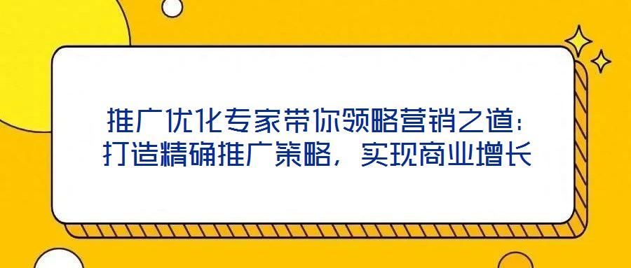 推廣優化專家帶你領略營銷之道:打造精確推廣策略,實現商業增長