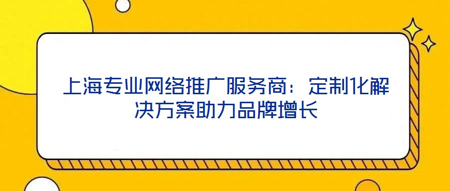 上海專業(yè)網(wǎng)絡推廣服務商:定制化解決方案助力品牌增長